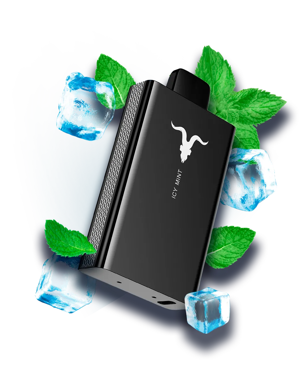 IGNITE V80 - Icy Mint 5% (8K PUFF)
