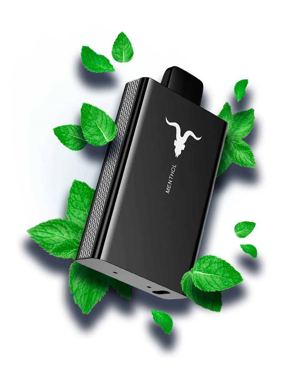 IGNITE V80 - Menthol 5% (8K PUFF)
